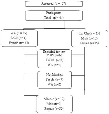 Differences in brain connectivity between older adults practicing Tai Chi and Water Aerobics: a case–control study